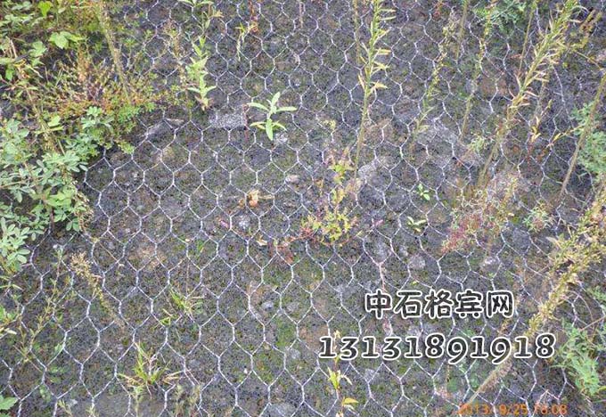 護坡加筋麥克墊咨詢(xún)13131891918