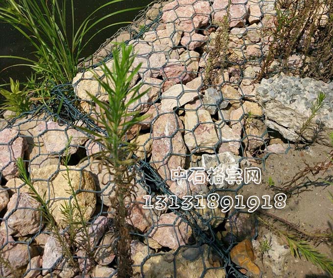 河道護岸固濱籠價(jià)格咨詢(xún)13131891918